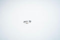 Luna Pearl: The Timeless Serenity Band