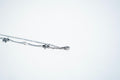 The Celestial Shore Double-Layer Bracelet – 925 Sterling Silver