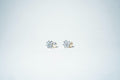 The Floret Bloom Pearl Studs - 925 Sterling Silver