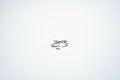 The "Ethereal Intertwine" Pearl & Pavé Crossover Ring