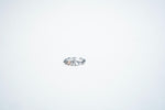 The "Blossom of Serenity" Floral 925 Silver Ring
