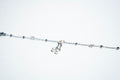 Celestial Romance: The Pearl & Heart Keepsake Bracelet – 925 Sterling Silver