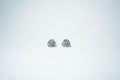 The Linked Heart Silhouette Studs – 925 Sterling Silver