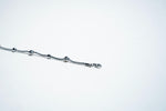 The Celestial Orb Link Bracelet – 925 Sterling Silver