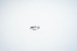Celestial Pearl: The Radiant Halo Ring