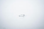 The "Blossom of Serenity" Floral 925 Silver Ring
