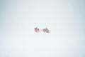 Rose Gold Floral Cluster Studs